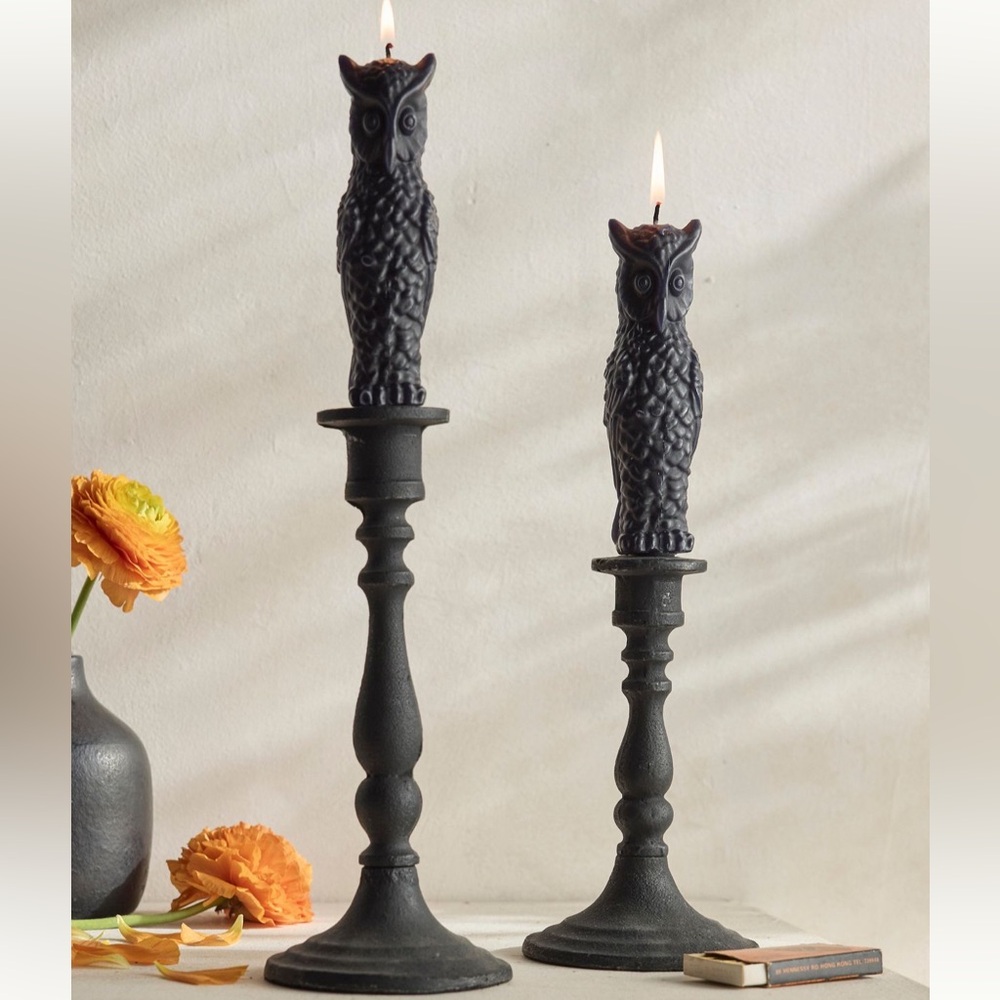 NWT Anthropologie Terrain Owl Tapered Candles